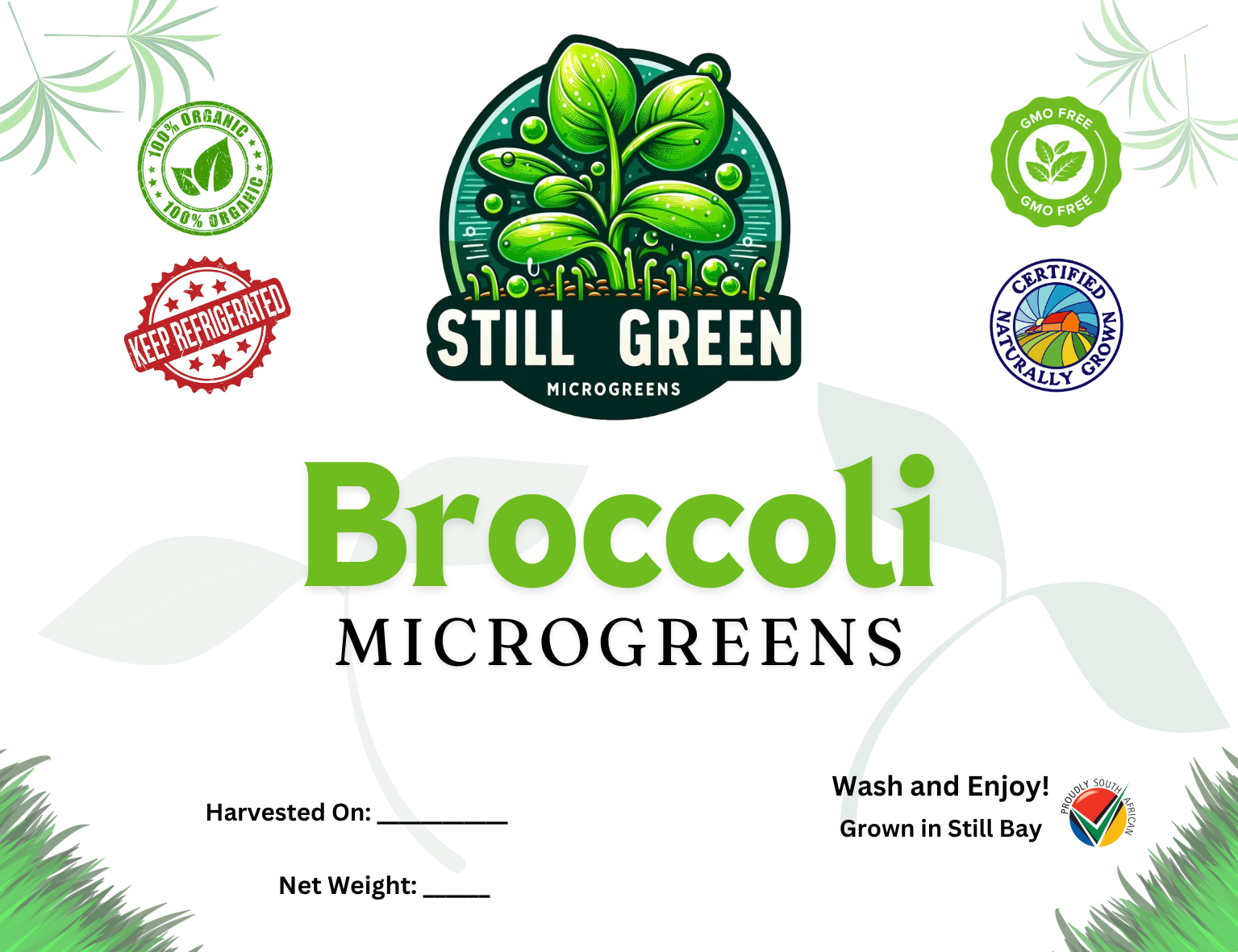 Still Green - Broccoli